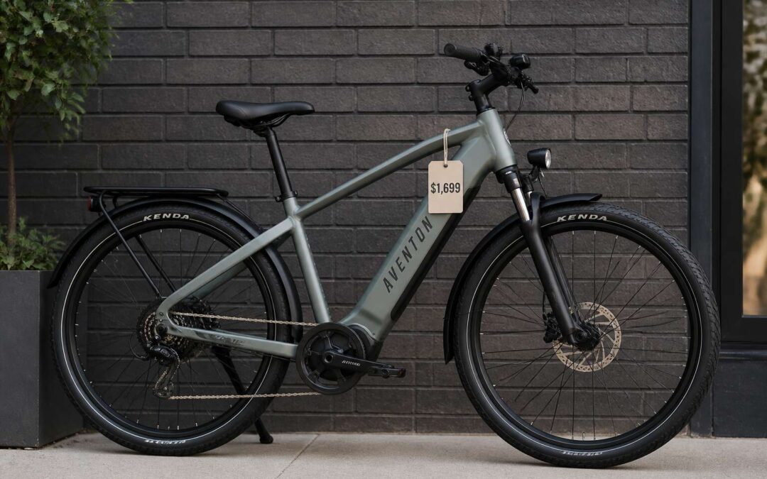 The price for electric bicycle explained in a clear, one minute guide.